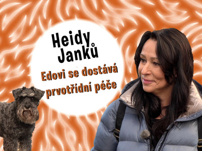 8. DIEL PODCASTU SMEČKA - Heidi Janků