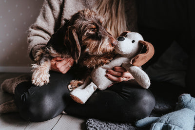 SÁM DOMA...KEĎ PSÍKA TRÁPI SEPARAČNÁ ÚZKOSŤ