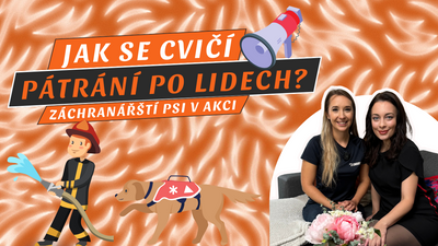 37. DIEL PODCASTU SMEČKA: Záchranné psy v akcii: Ako sa cvičia na vyhľadávanie ľudí?| Kristýna Sedláková