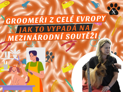 EPISODE 54 OF THE SMÈČKA PODCAST: GROOM MASTERS 2025 How does dog grooming become an art?