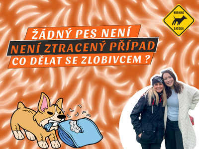 PART 61 OF THE PACK PODCAST: Consistency, training and dog hotel with Lada and Aneta Sedláková