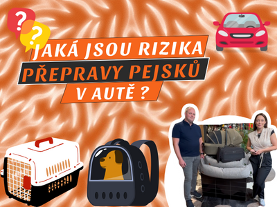 62. DIEL PODCASTU SMEČKA: Psia klietka, ktorá zachraňuje životy? Väčšina ľudí robí nesprávne rozhodnutia.