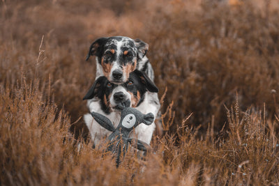 TRVALÁ UDRZITEĽNOSŤ JE TRENDOVÁ