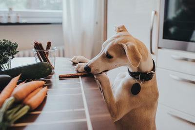 POTRAVINY, KTORÉ DO PSEJ MISKY NEPATRIA