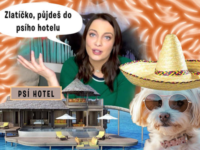THE SMEČKA PODCAST - Part 9: Where to take your dog to day care when you go on vacation?