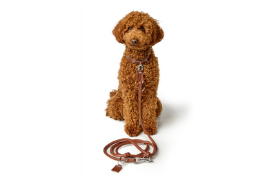 MÜNCHEN Round&Soft adjustable leash - cognac