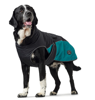 UPPSALA ALLROUNDER dog coat - anthracite/petrol