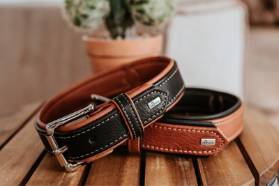 CANADIAN UP collar - cognac/black