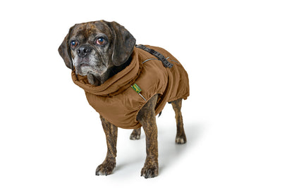 PAXSON coat for bulldogs - caramel