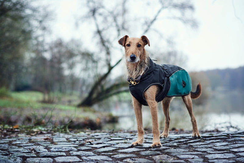 UPPSALA ALLROUNDER dog coat - anthracite/petrol