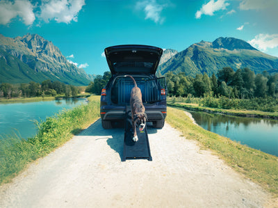 4PETS Schodíky do auta Easy Steps - NOIR
