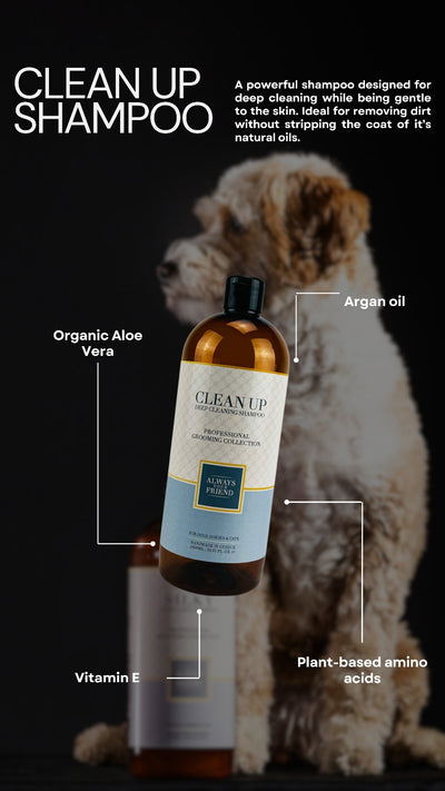 AYF Shampoo Clean Up Deep - Professional Line