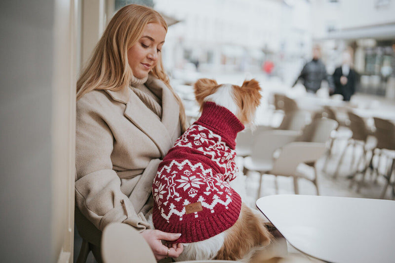 BIRKA turtleneck sweater - red