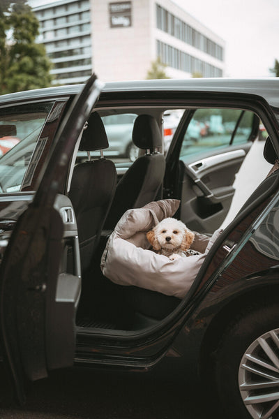 SEOUL autosedačka - bridlicová