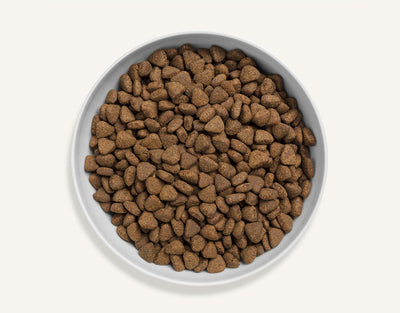 Dry food for cats - Countrygame