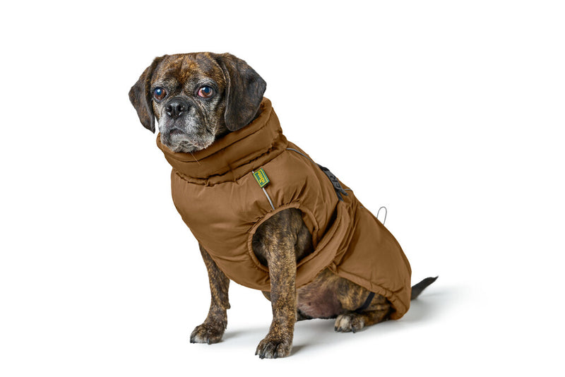 PAXSON coat for bulldogs - caramel