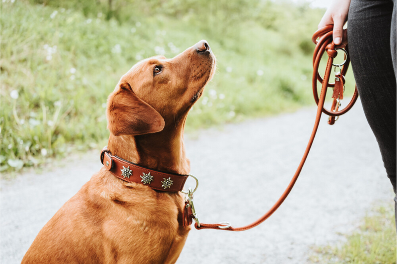 MÜNCHEN Round&Soft adjustable leash - cognac