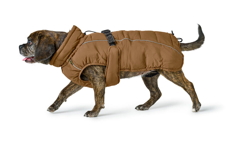 PAXSON coat for bulldogs - caramel