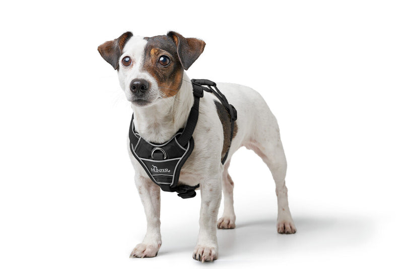 DIVO UP harness - black