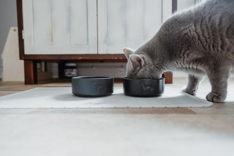 OSBY bowl - anthracite