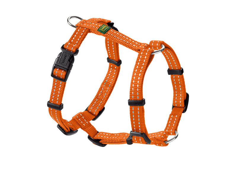 TRIPOLI harness - orange