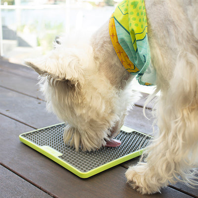 LickiMat SOOTHER TUFF licking mat - purple