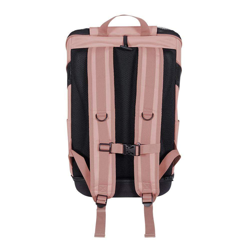 IBIYAYA Backpack for dogs Ultralight Pro - light pink