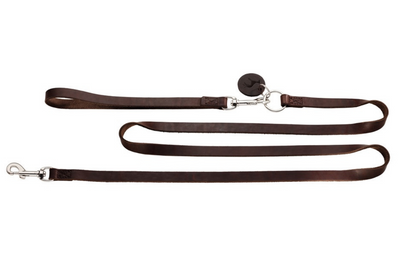 SOLID EDUCATION combi leash 6 in 1 - dark brown