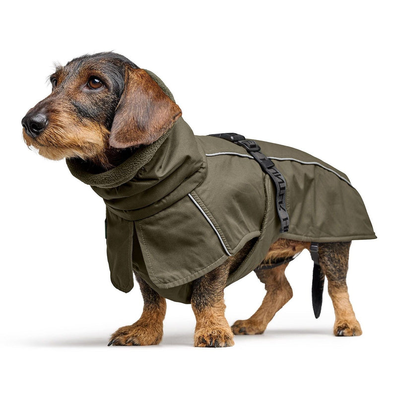 NORDBY jacket for dachshunds - olive