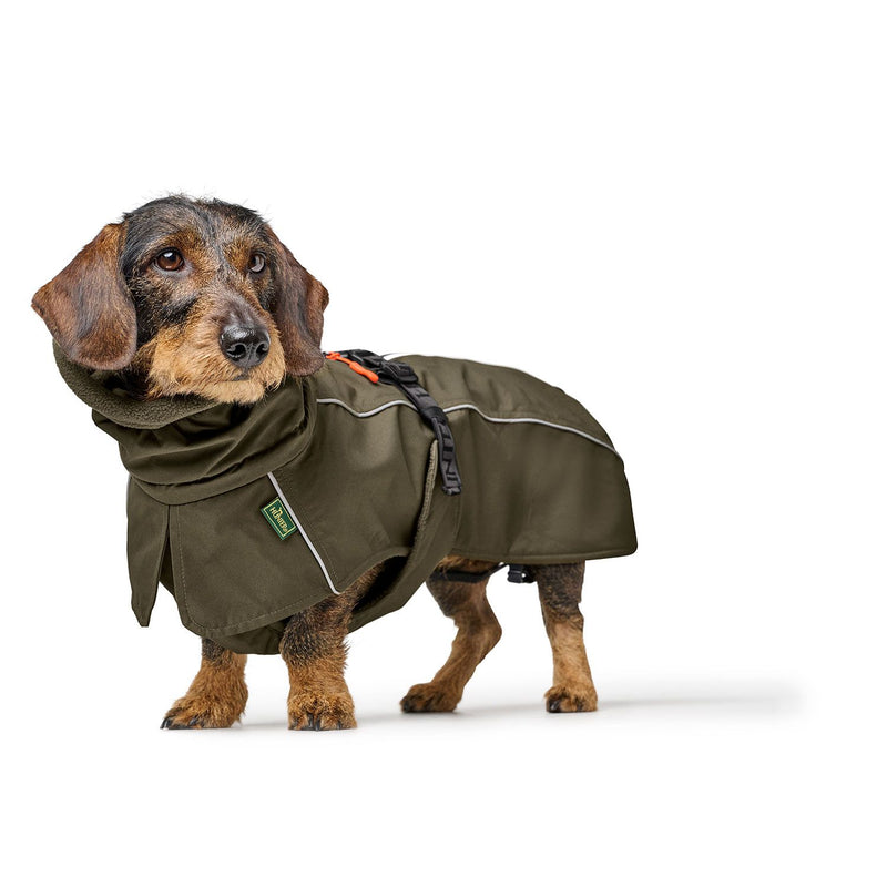 NORDBY jacket for dachshunds - olive