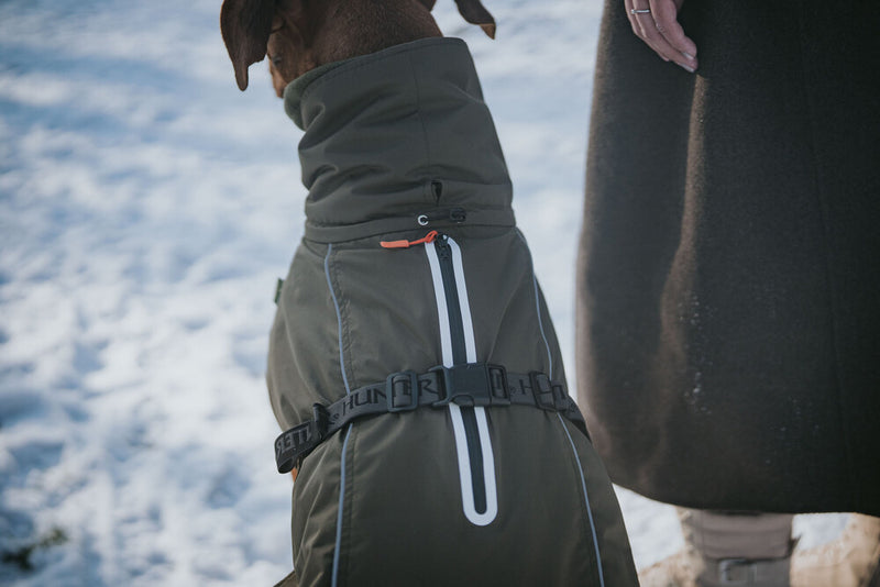 NORDBY jacket - olive