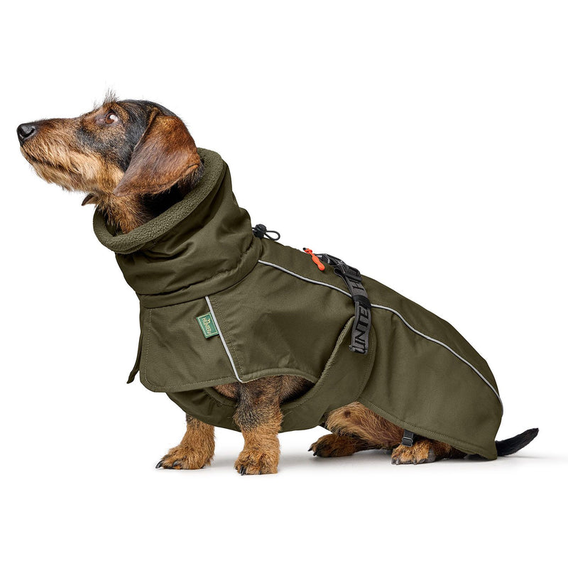 NORDBY jacket for dachshunds - olive