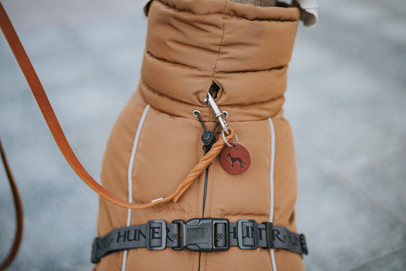 PAXSON jacket for dachshunds - caramel