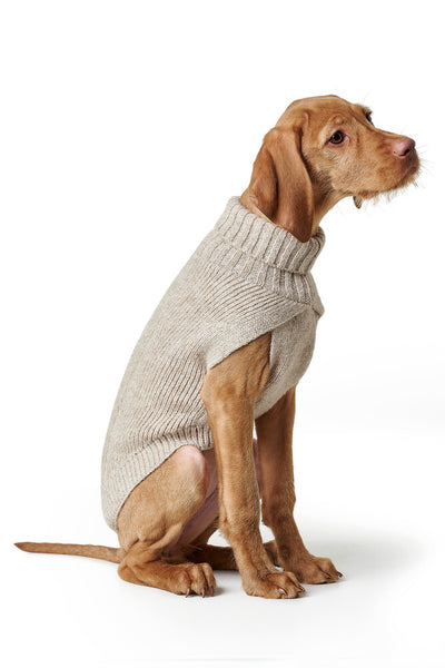 GENF dog turtleneck - beige
