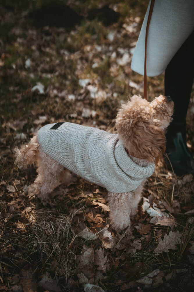 GENF dog turtleneck - beige