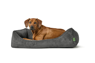 CORBIE ortopedický pelech - antracit