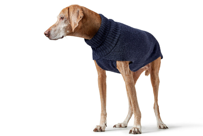 GENF psí rolák - tmavo modrá