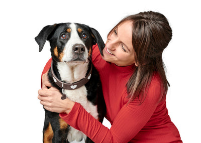 LOVE obojok - hnedá