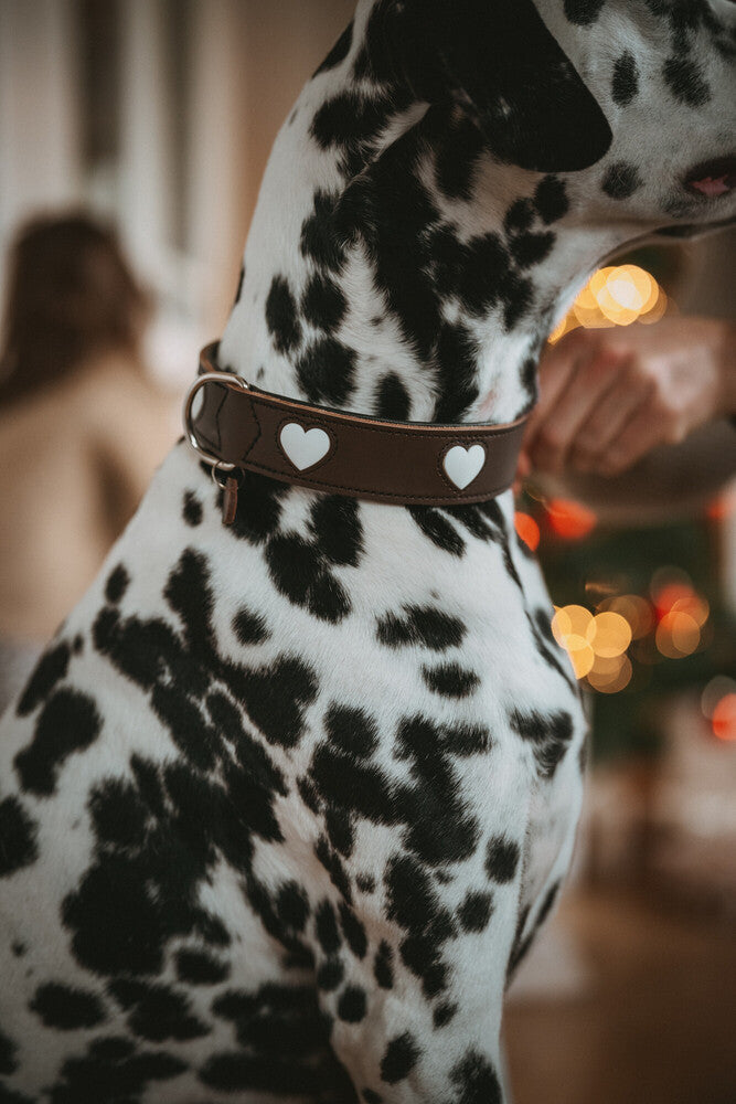 LOVE obojok - hnedá