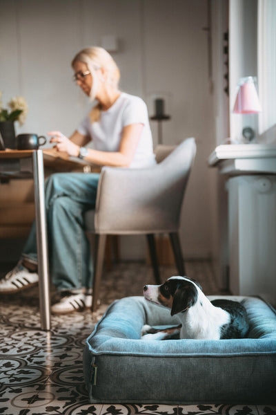 MELUN ortopedická matrac - sivomodrá