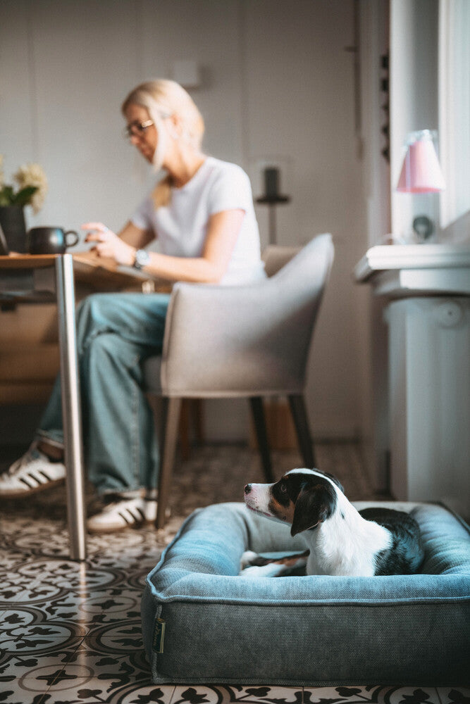 MELUN ortopedická matrac - sivomodrá