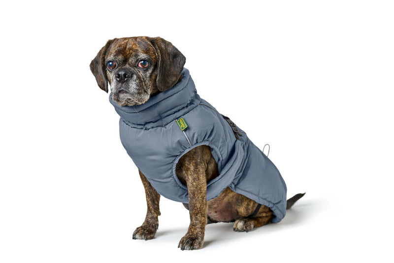 PAXSON kabátik pre buldočkov - modrá