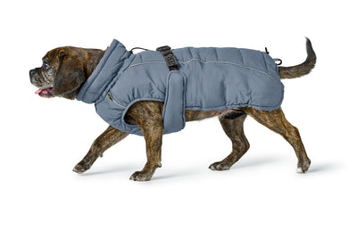 PAXSON kabátik pre buldočkov - modrá