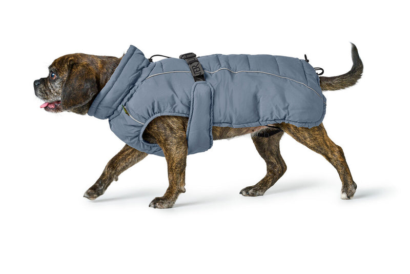 PAXSON kabátik pre buldočkov - modrá