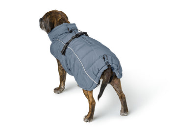 PAXSON kabátik pre buldočkov - modrá