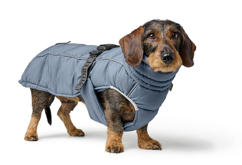 PAXSON kabátik pre jazvečíky - modrá