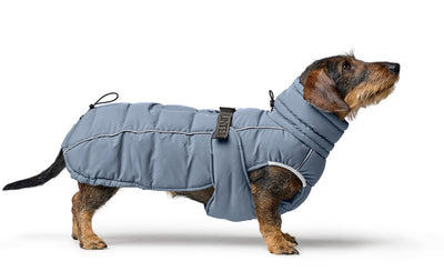 PAXSON kabátik pre jazvečíky - modrá