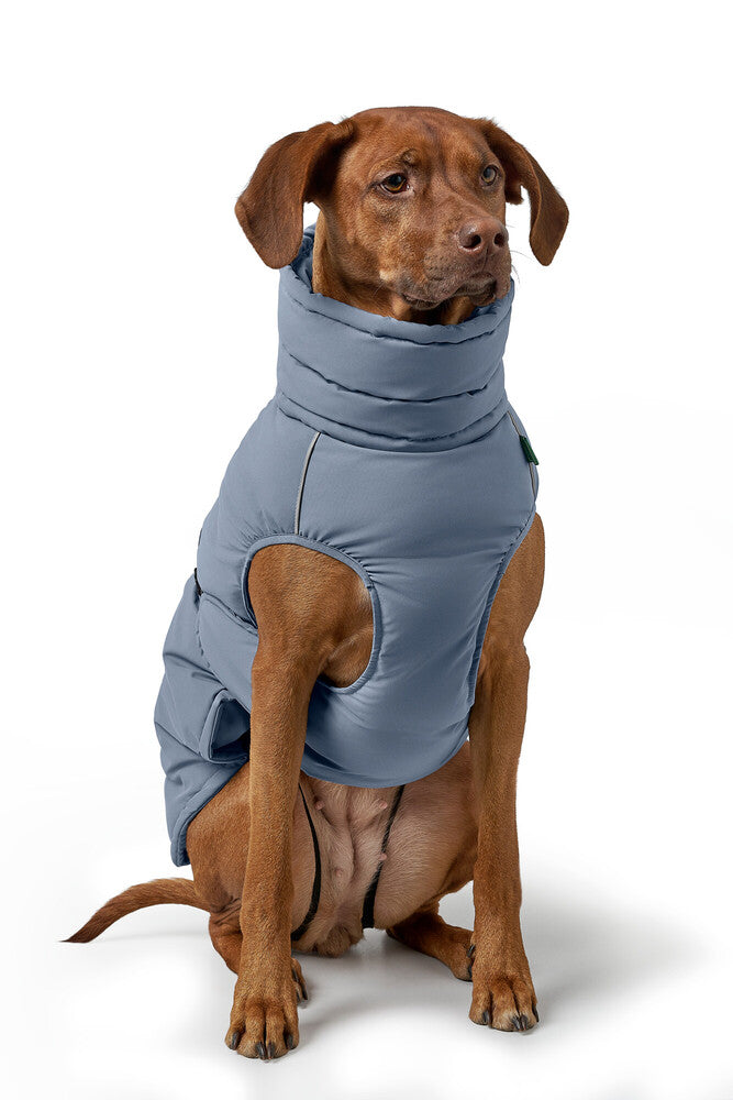 PAXSON kabátik - modrá