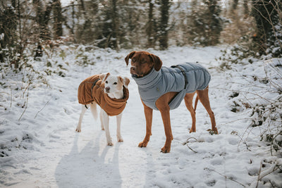 PAXSON kabátik - modrá