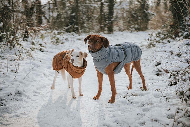 PAXSON kabátik - modrá